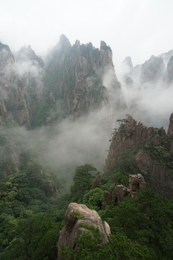 Longevity on retreat